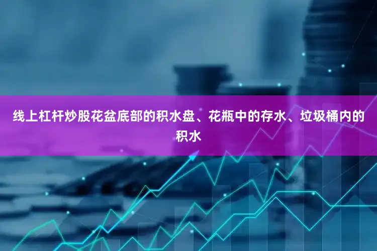 线上杠杆炒股花盆底部的积水盘、花瓶中的存水、垃圾桶内的积水