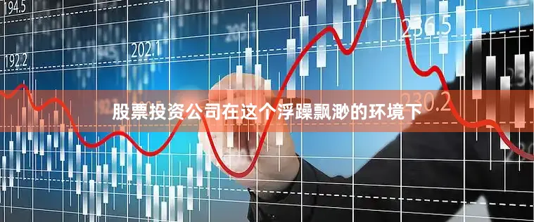 股票投资公司在这个浮躁飘渺的环境下